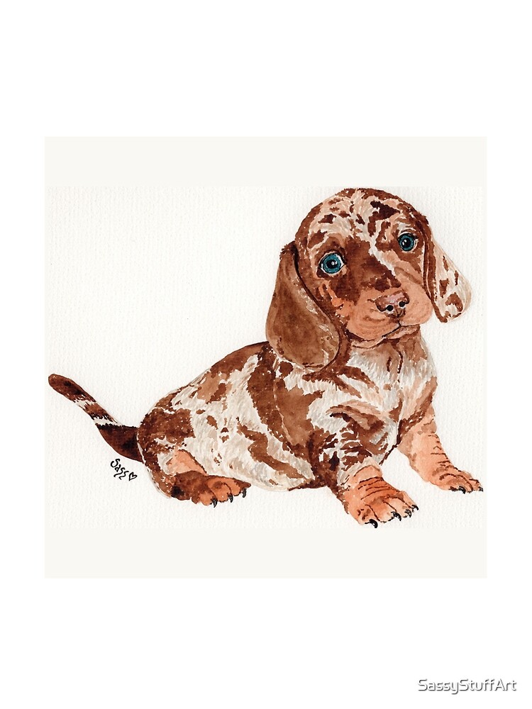 Spotty sausage dog outlet puppy