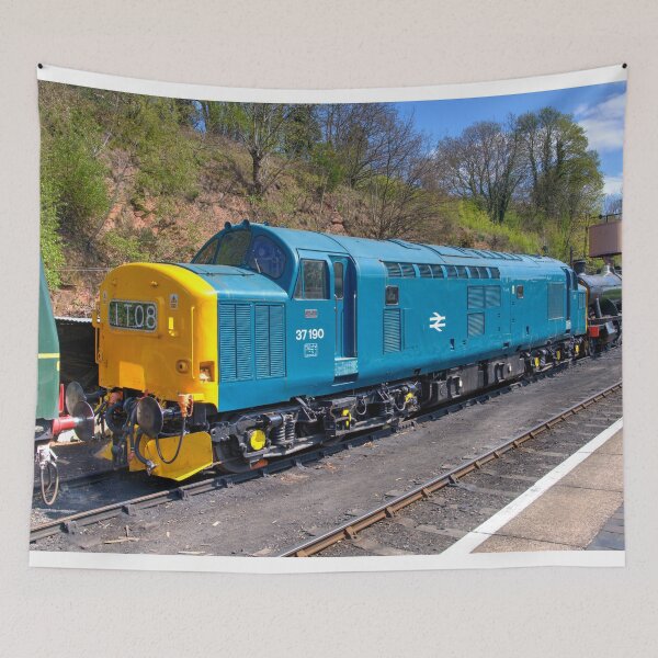 Item preview, Class 37 at Bewdley  designed and sold by hawkie.