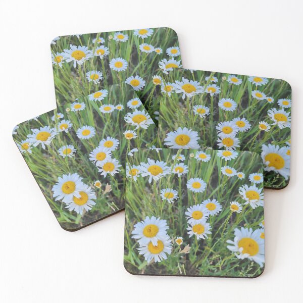 Item preview, Floral photograph, Daisys, White flower pedals,  gift for gardener designed and sold by FACELESS MONKEY.