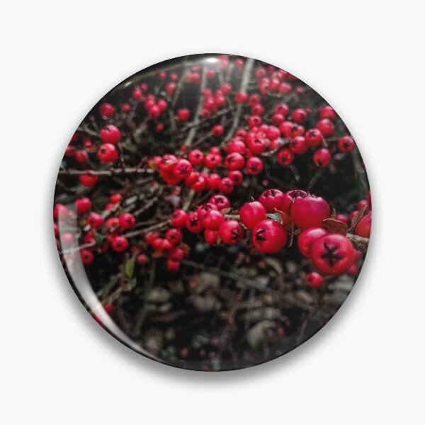 Artikelvorschau, Winterberry Natur Themen Nahaufnahme Foto mit dunklem Hintergrund und leuchtend roten Beeren entworfen und verkauft von CiniArt.
