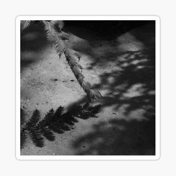 ". black and white shadow . " Sticker for Sale by moonewmagicwand