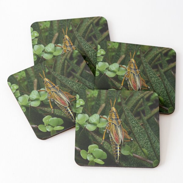 Item preview, Fake Wings designed and sold by AGODIPhoto.