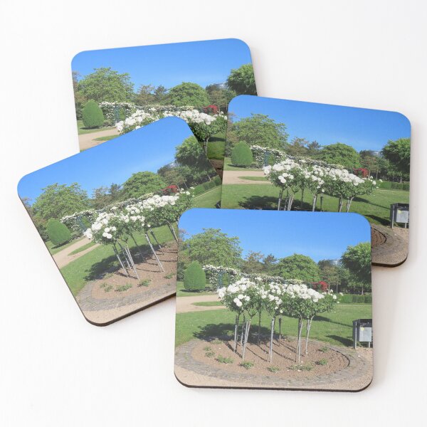 Item preview, White roses in the rose garden of Bonn's Rheinaue designed and sold by paradiseshop365.
