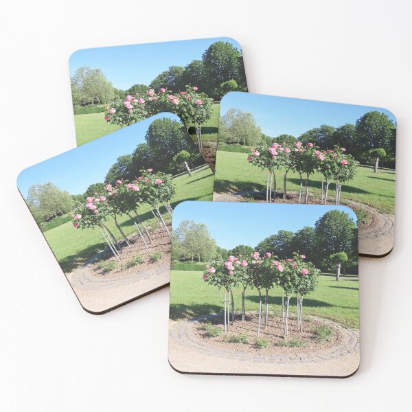 Aperçu de l'œuvre Roses roses dans la Rheinaue de Bonn créée et vendue par paradiseshop365.