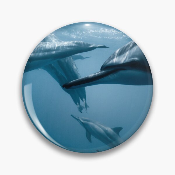 Item preview, Dolphin Art designed and sold by FunnyDio.