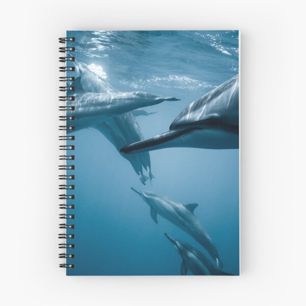 Item preview, Arte con delfines designed and sold by FunnyDio.