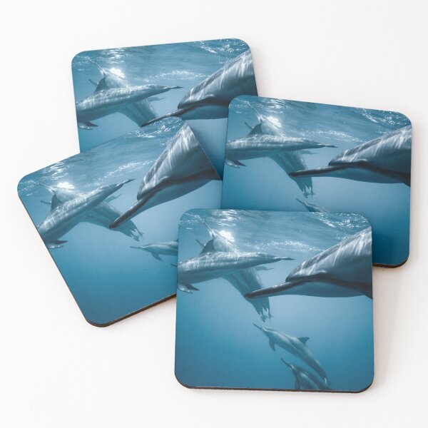 Item preview, Dolphin Art designed and sold by FunnyDio.