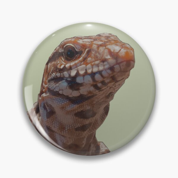 Item preview, Baby Tegu Up Close & Personal designed and sold by TNT  designs.