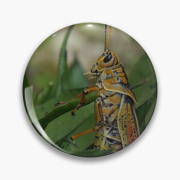 Item preview, On the Move designed and sold by AGODIPhoto.