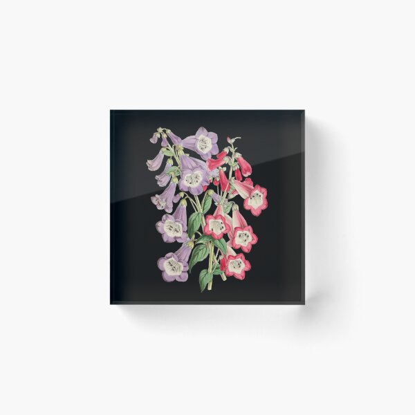 Item preview, Botanical Vintage Print (Digitalis / foxgloves) designed and sold by Veriepear.