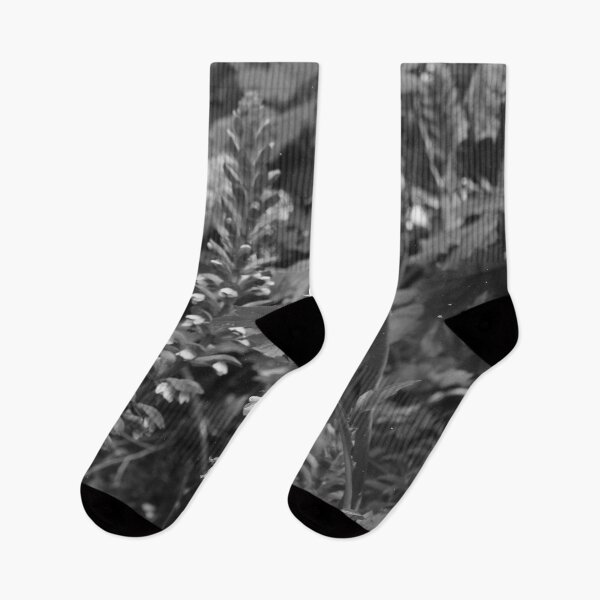 Item preview, . black and white garden .  designed and sold by diana rogagels.