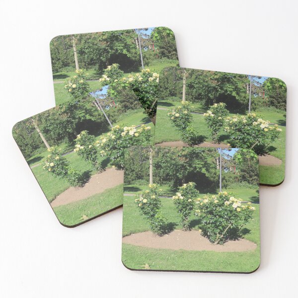 Item preview, Yellow roses in Bonn's Rheinaue designed and sold by paradiseshop365.