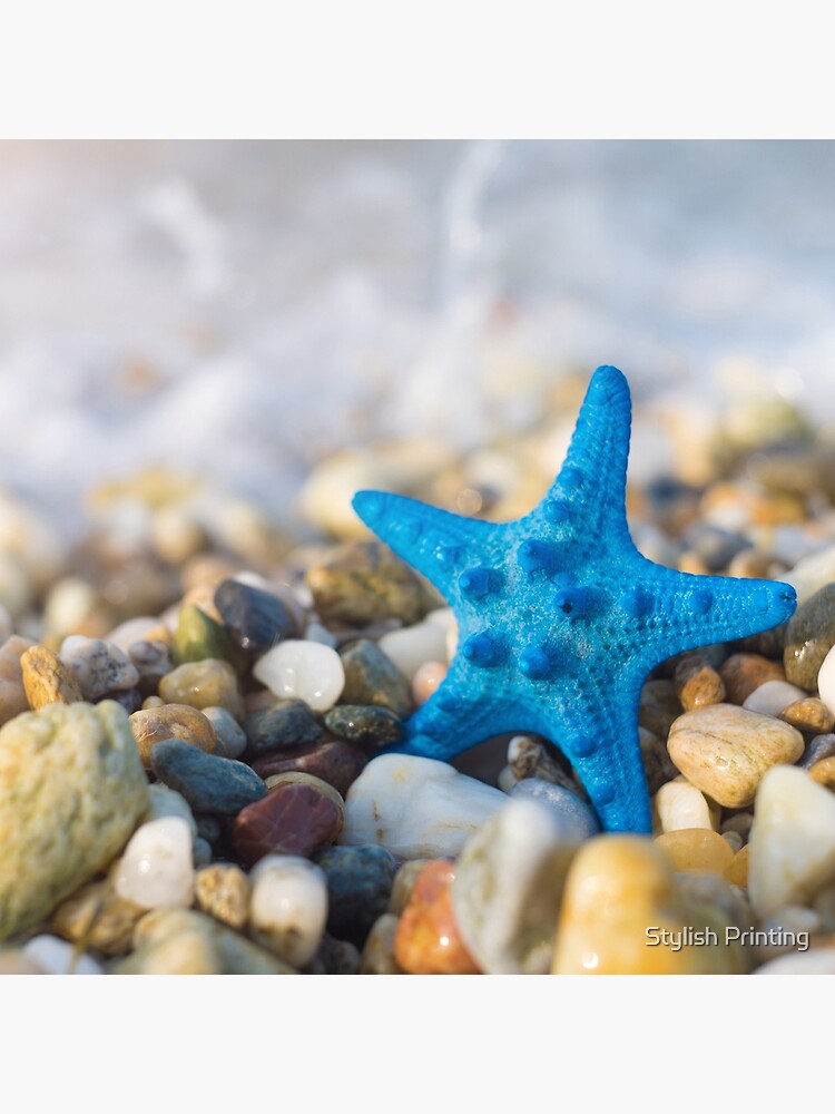 Blue Starfish Poster - Beach starfish print