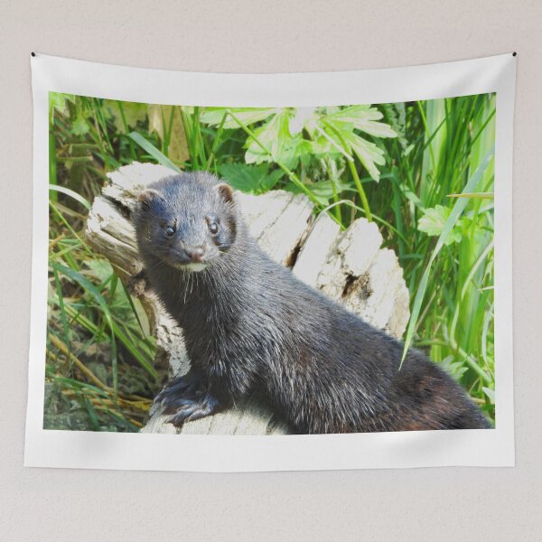 Item preview, A Gorgeous American Mink  designed and sold by Karen Thomson.