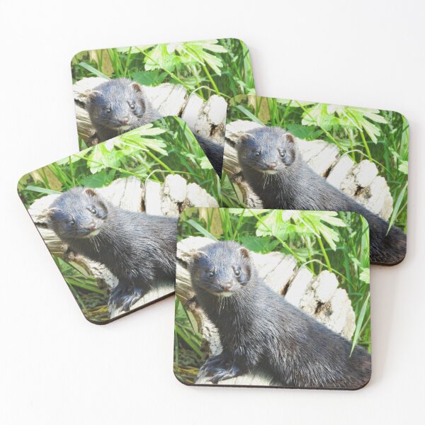 Item preview, A Gorgeous American Mink  designed and sold by Karen Thomson.