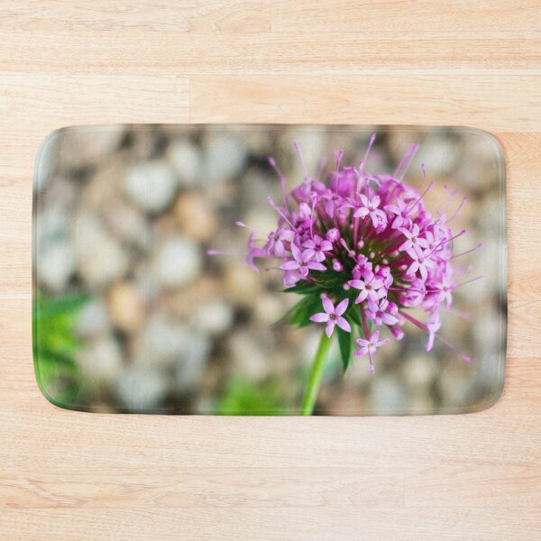 Item preview, Phuopsis Stylosa "Purpurea" designed and sold by AlinaSCorner.