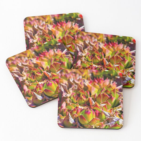 Item preview, Succulent Fields designed and sold by ChloeElmore.