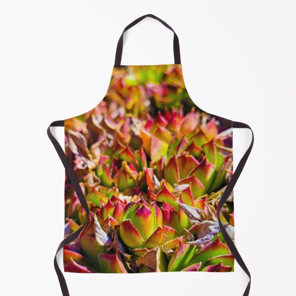 Item preview, Succulent Fields designed and sold by ChloeElmore.