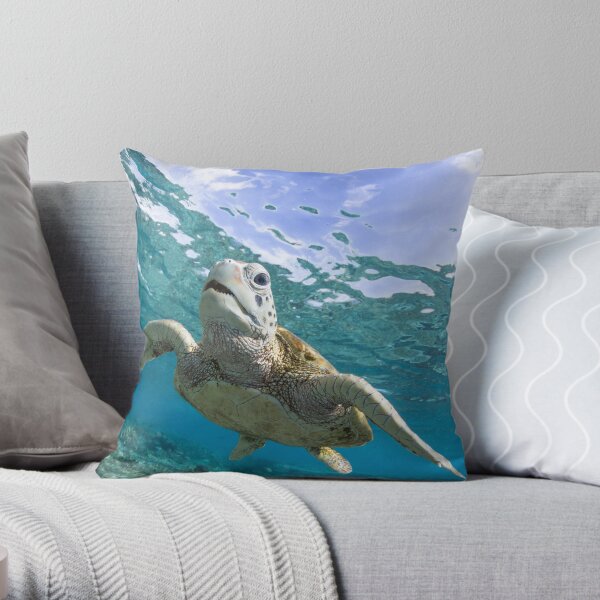 Turtle grin Throw Pillow