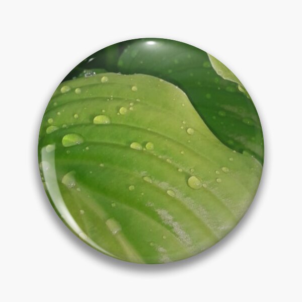 Item preview, Green leaves after rain designed and sold by FallennAnngel.