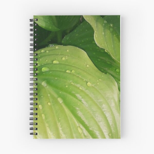 Item preview, Green leaves after rain designed and sold by FallennAnngel.