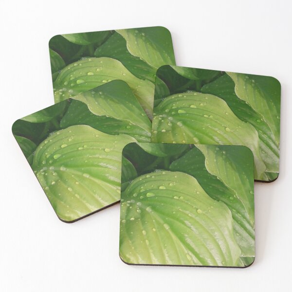 Item preview, Green leaves after rain designed and sold by FallennAnngel.