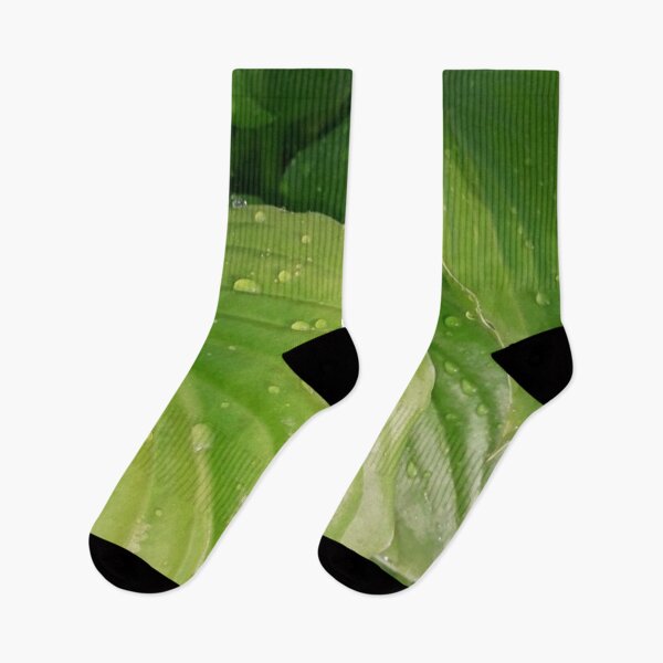 Item preview, Green leaves after rain designed and sold by FallennAnngel.