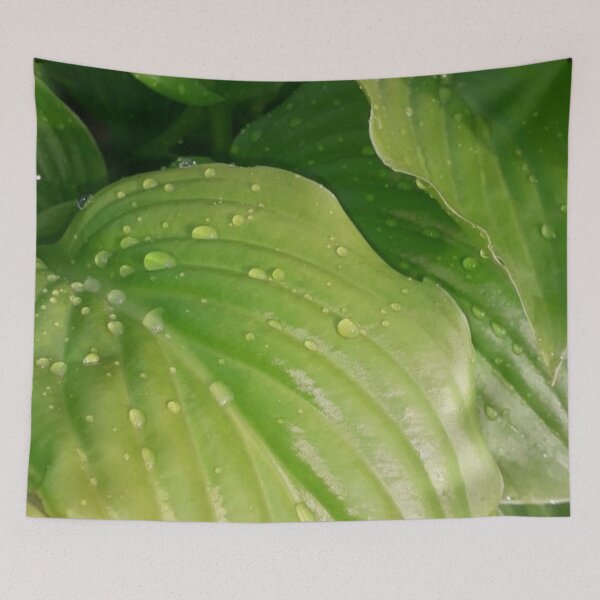 Item preview, Green leaves after rain designed and sold by FallennAnngel.