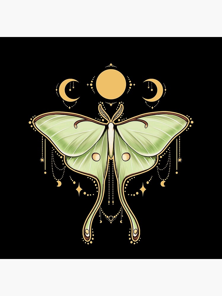 Luna Moth Witch – Diamond Art Club