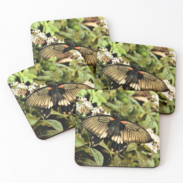 Item preview, Papilio bianor  II designed and sold by DonnaM.