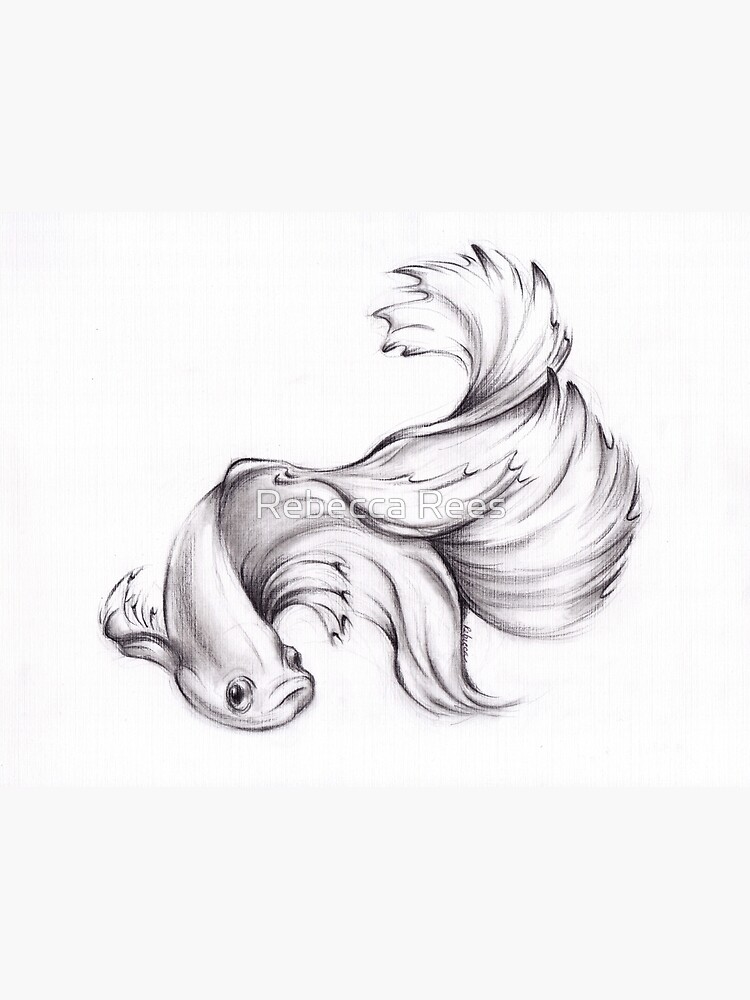 Aquatic Angel - Betta/Siamese Fighting Fish Charcoal Drawing | Photographic  Print