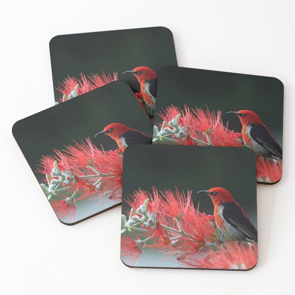 Item preview, Birt Art designed and sold by FunnyDio.
