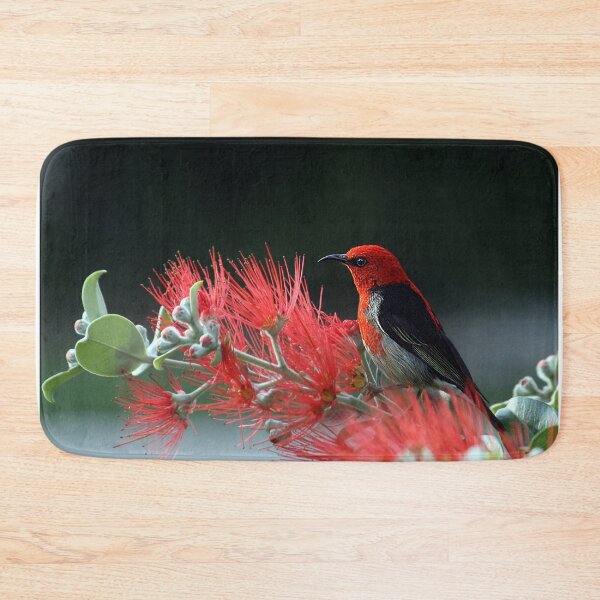 Item preview, Birt Art designed and sold by FunnyDio.