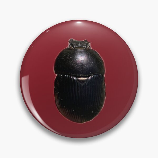 Item preview, Shiny Beetle designed and sold by derbyisdead.
