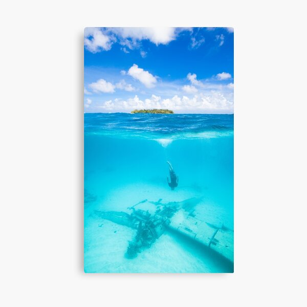 Item preview, Free dive to sunken Japanese war plane wreck in paradise designed and sold by Pete Leong.