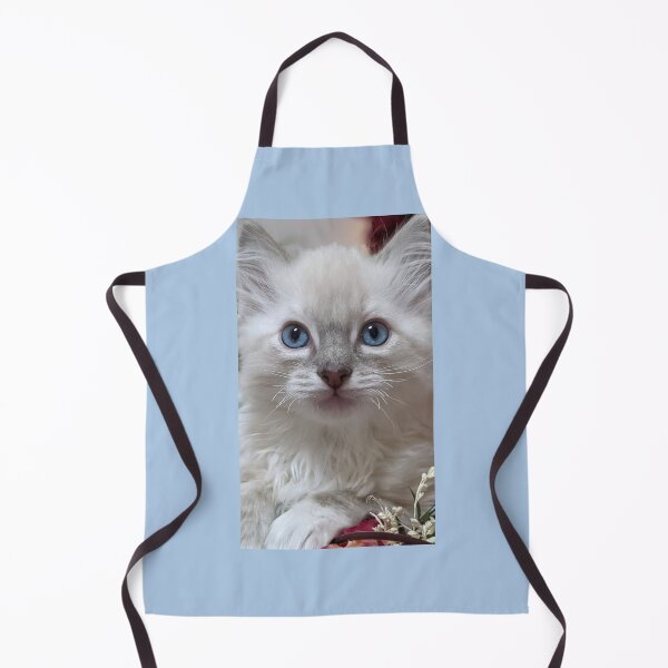 Item preview, Lynx ragdoll kitten designed and sold by Fluffycat2020.