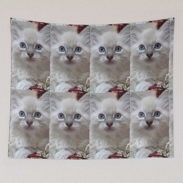 Item preview, Lynx ragdoll kitten designed and sold by Fluffycat2020.