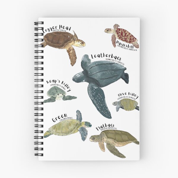 Item preview, Marine Sea Turtle Medley (with names) designed and sold by pstrud.
