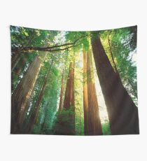 Redwoods Wall Tapestry
