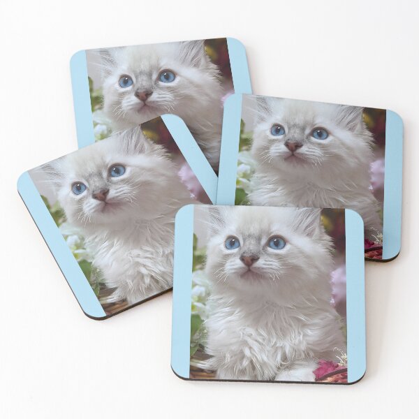 Item preview, Copy of Lynx ragdoll kitten designed and sold by Fluffycat2020.