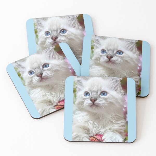 Item preview, Copy of Lynx ragdoll kitten designed and sold by Fluffycat2020.