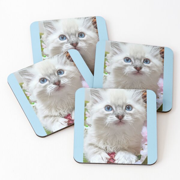 Item preview, Copy of Lynx ragdoll kitten designed and sold by Fluffycat2020.