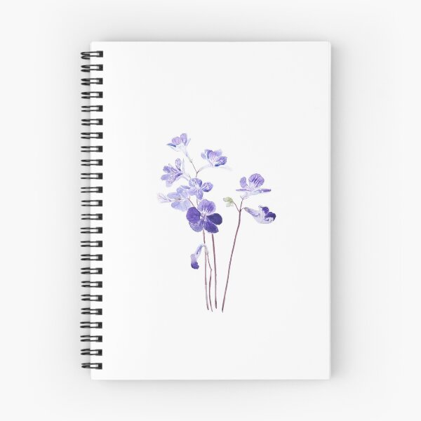 Aperçu de l'œuvre aquarelle de fleurs d'onagre violettes peintes à la main  créée et vendue par SelenePaintings .