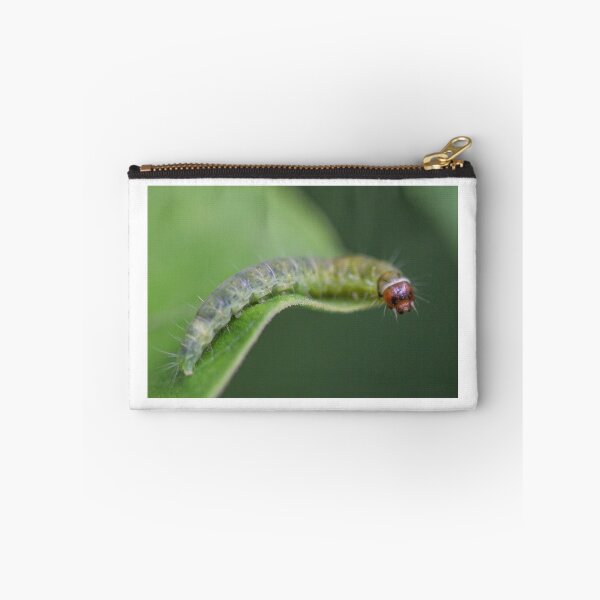 Item preview, Caterpillar Resting designed and sold by Gary Horner.
