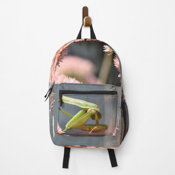 Item preview, Peek A Boo designed and sold by DonnaM.
