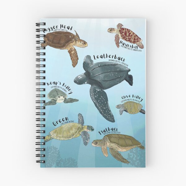 Item preview, Marine Sea Turtle Medley Poster designed and sold by pstrud.