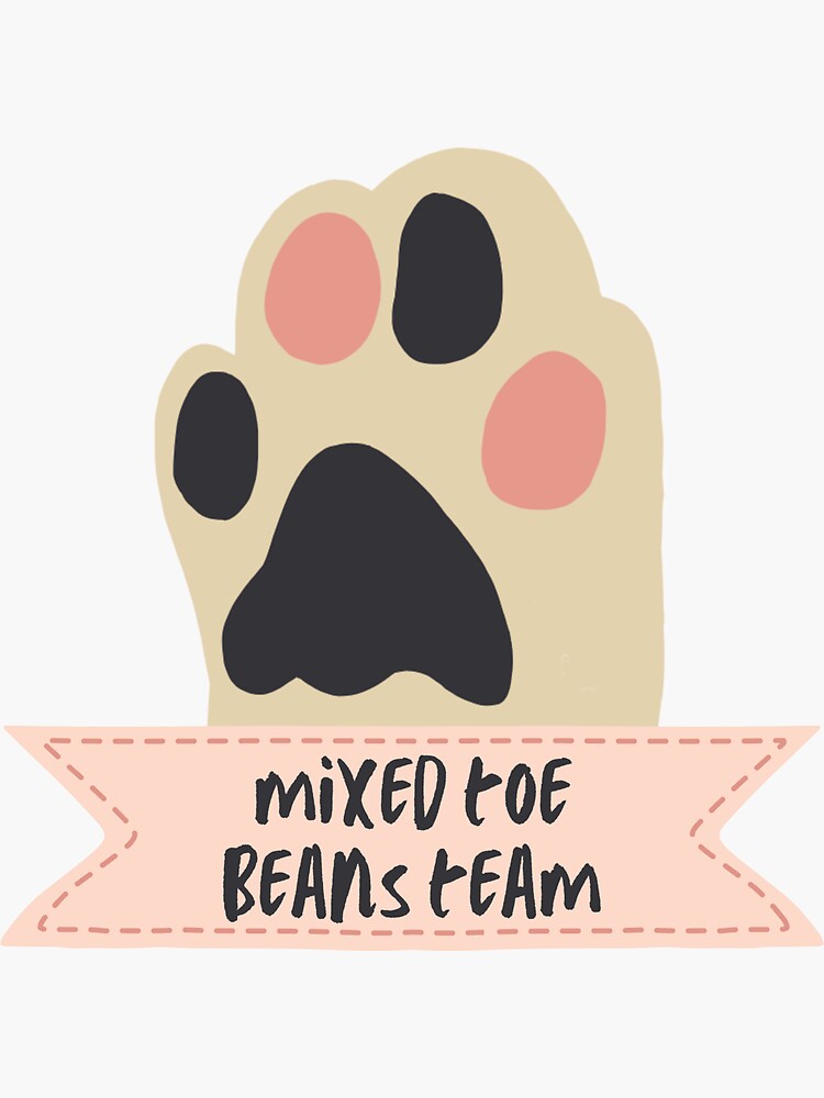 Mixed Toe Beans Team! Cute Cat Paws