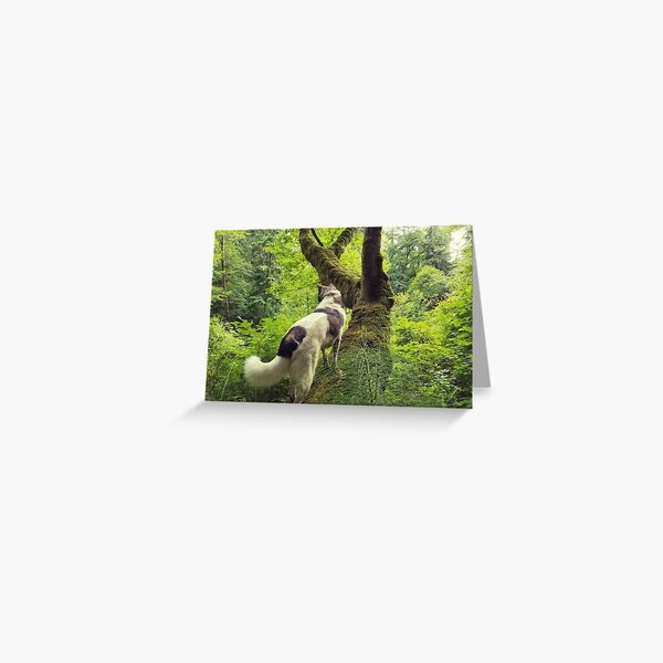 Baldr the Forest Spirit Greeting Card