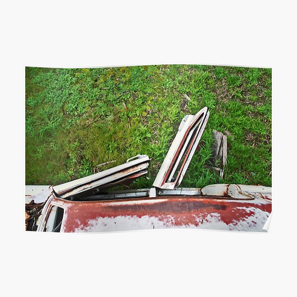 Car Wings Poster