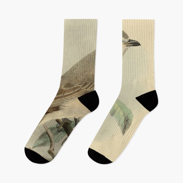 Item preview, Wood Shrike Perched On A Branch designed and sold by laguitan10.